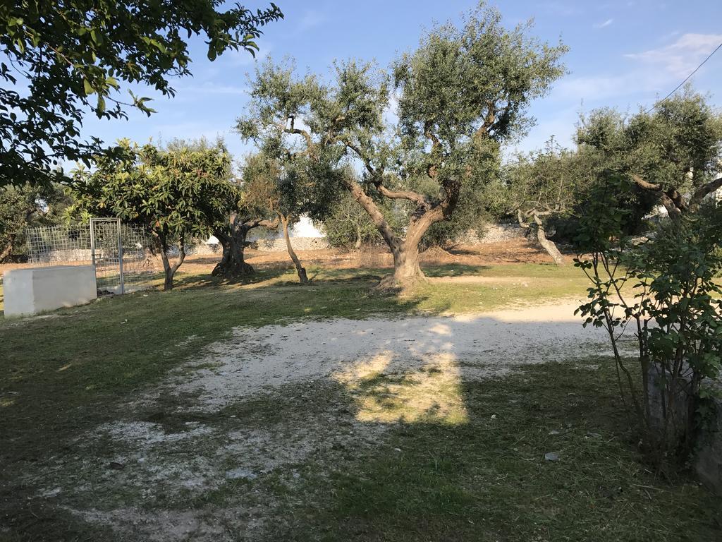 Il Trullo Di Santanna Βίλα Locorotondo Εξωτερικό φωτογραφία